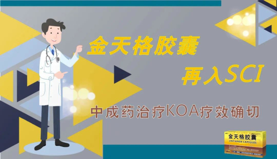 金天格胶囊再入SCI 中成药治疗KOA疗效确切