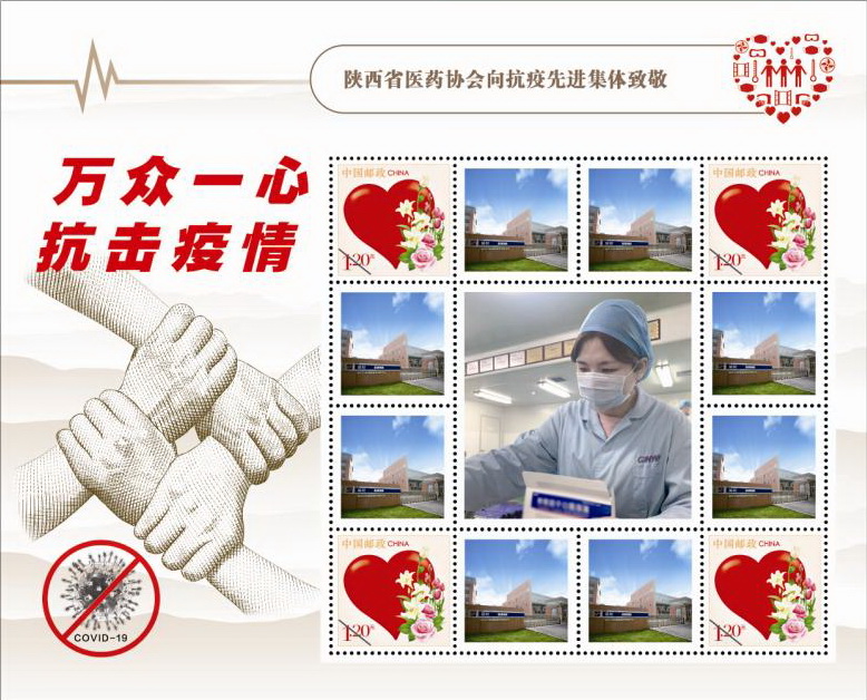 疫情防控彰显企业责任 新葡的京集团350vip8888股份荣获多项殊荣