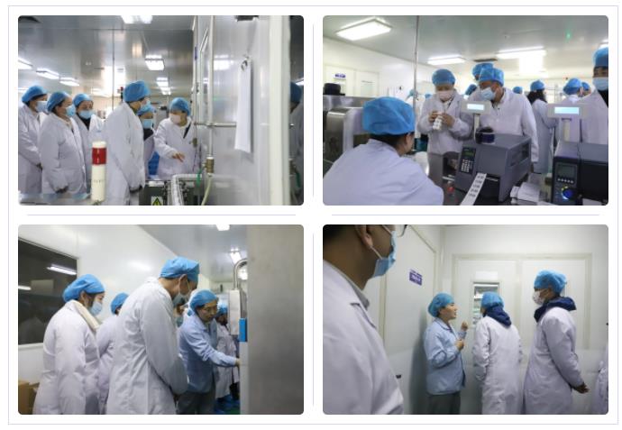 新葡的京集团350vip8888股份组织二线员工观摩学习 新葡的京集团350vip8888股份组织二线员工观摩学习