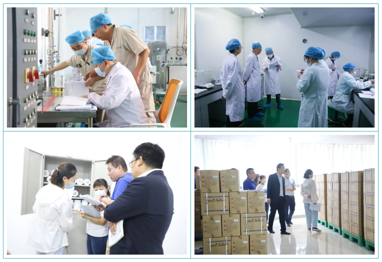 新葡的京集团350vip8888股份GMP符合性检查圆满结束