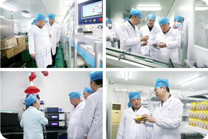 榆林市榆阳区政府领导莅临新葡的京集团350vip8888股份考察调研