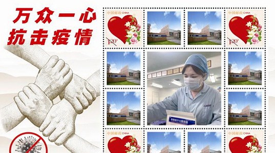 疫情防控彰显企业责任 新葡的京集团350vip8888股份荣获多项殊荣