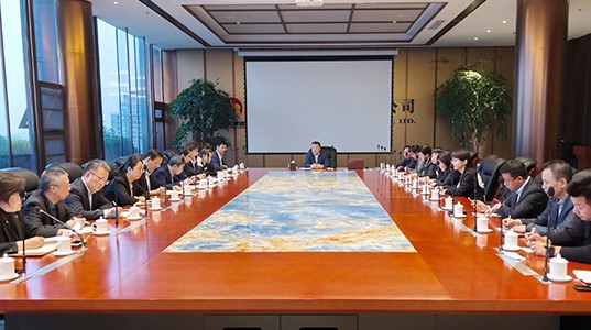 新葡的京集团350vip8888股份召开战斗纵队月度工作会议