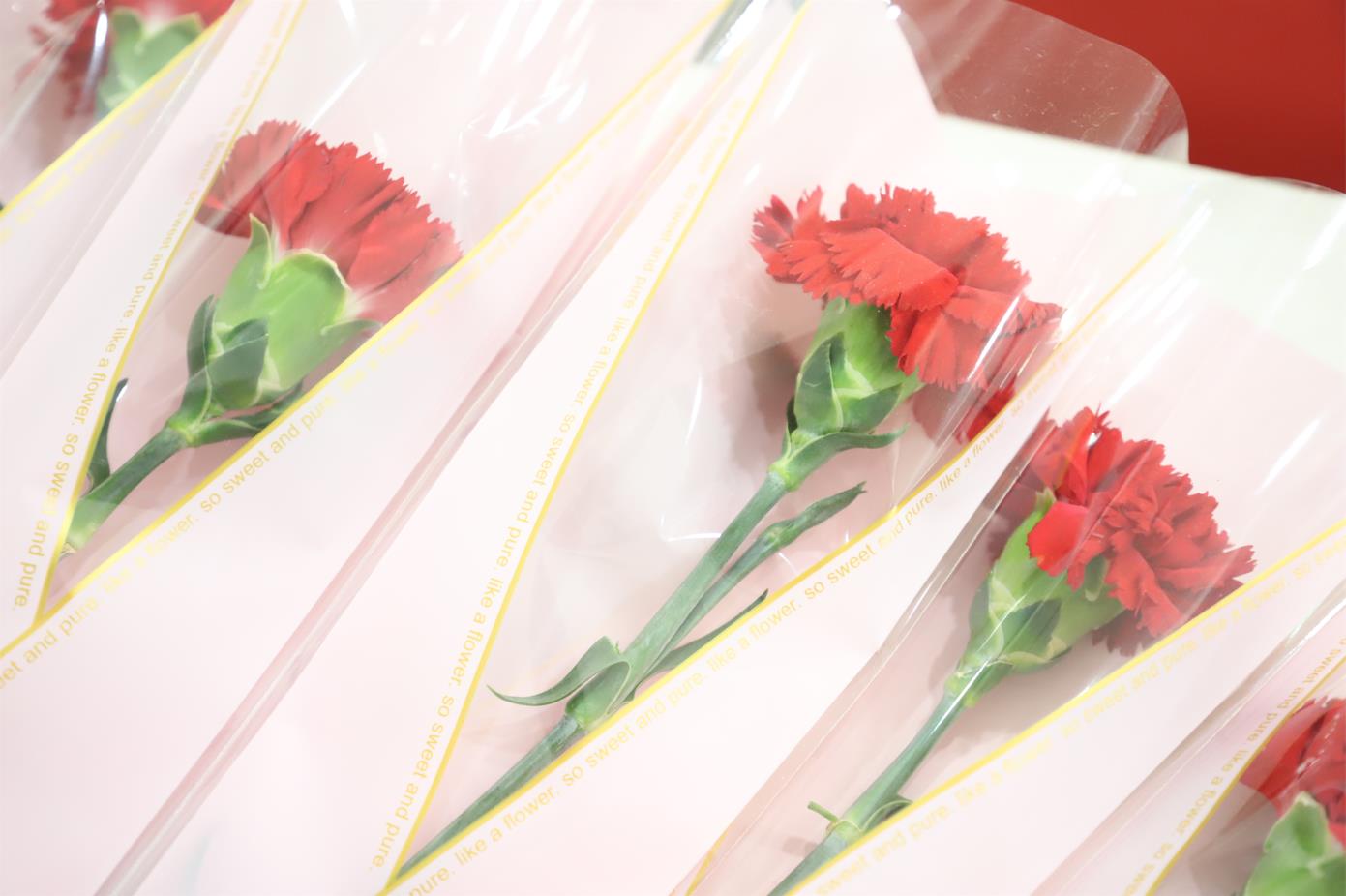 2022年新葡的京集团350vip8888股份母亲节观影活动